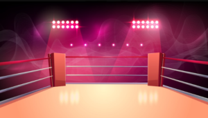 Vivo Pro Kabaddi League