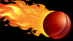 how to catch a cricket